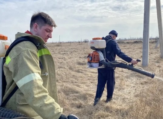 Фото: Елена Егорова