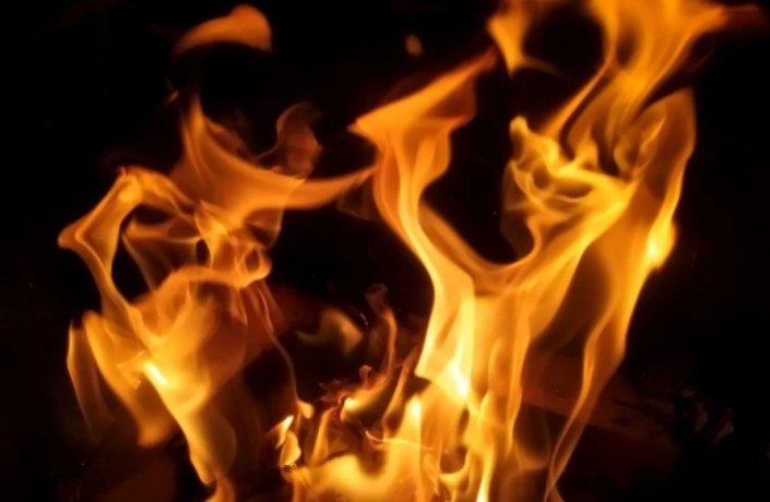 Фото:  www.globallookpress.com