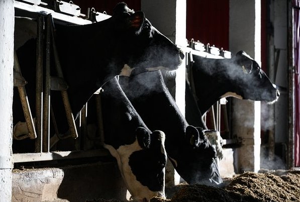 Фото: Александр Кряжев / РИА Новости