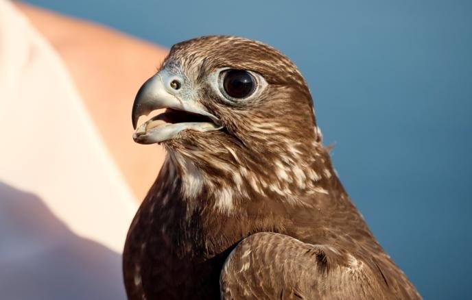 Фото: © Юрий Смитюк/ ТАСС