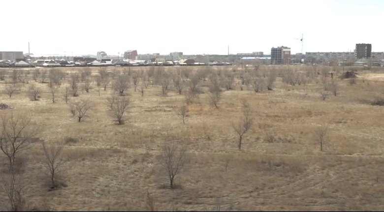 Фото: стоп-кадр видео из соцсетей Елены Гопиной