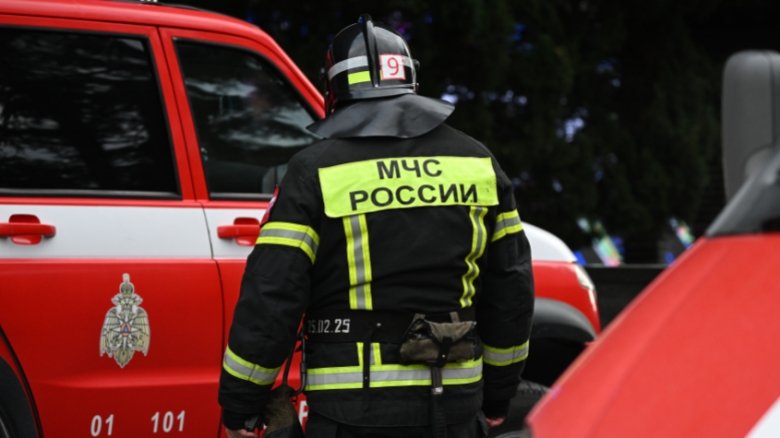 Фото: © РИА Новости/Константин Михальчевский