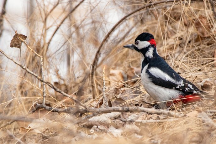 Фото: Андрей Зайченко