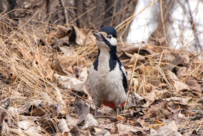 Фото: Андрей Зайченко
