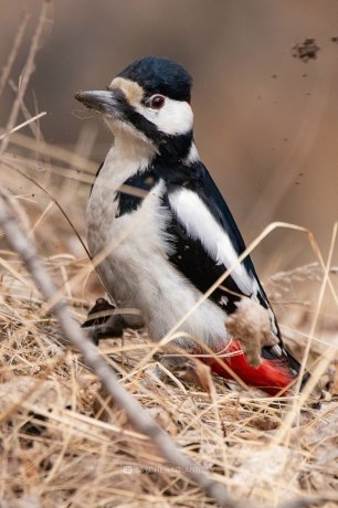 Фото: Андрей Зайченко