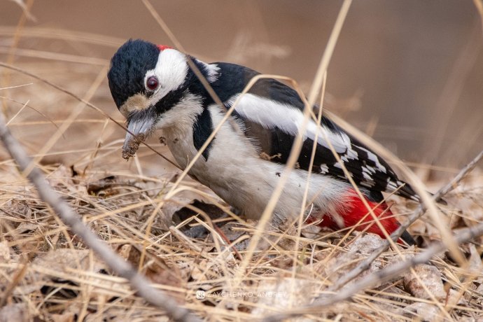 Фото: Андрей Зайченко