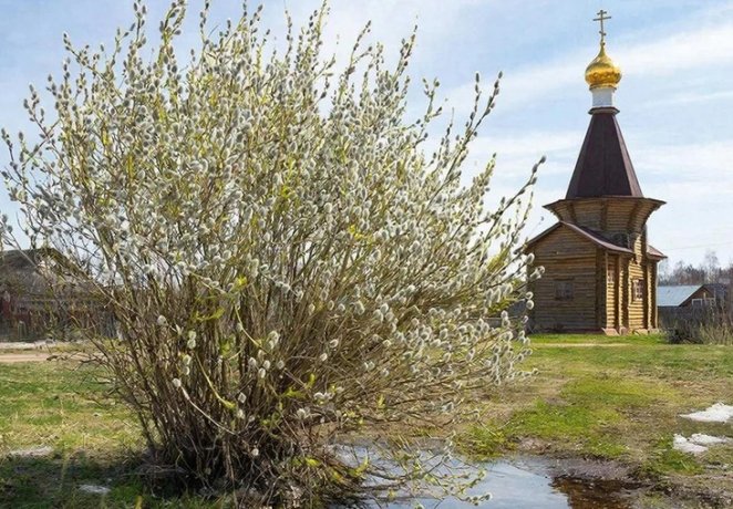 Фото: сгенерировано ИИ.