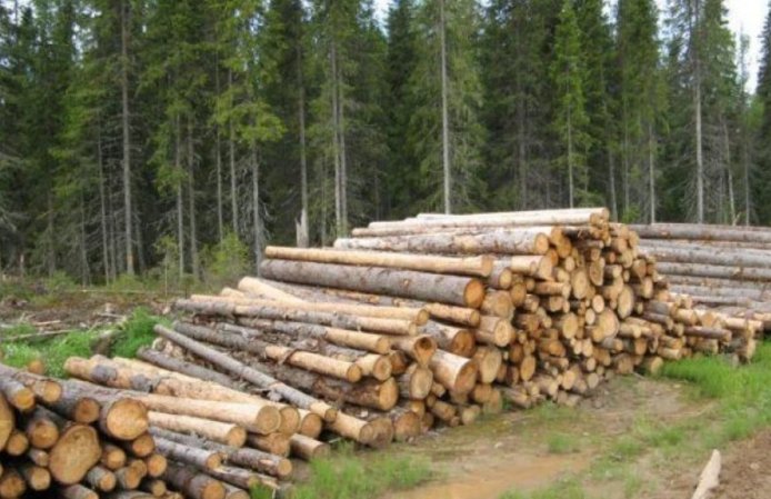 Фото: Прокуратура Хакасим