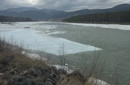 Фото: Валентина Филимонова