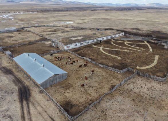 Фото: Россельхознадзор по Хакасии и Тыве