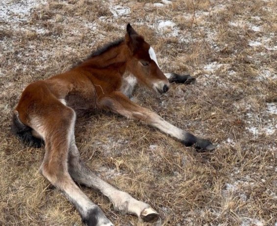 Фото: УФСИН по Хакасии