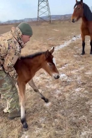 Фото: УФСИН по Хакасии