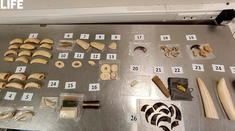 Фото: Обложка © ФТС/ Life.ru