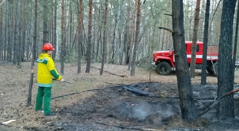 Фото: Лесопожарный центр Красноярского края
