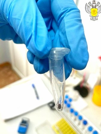 Фото: Роспотребнадзор по Хакасии