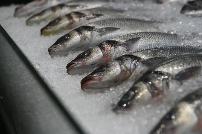 Фото: Обложка © Life.ru