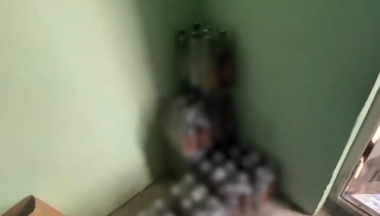 Фото: Стопкадр видео МВД по Тыве