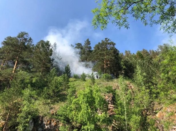 Фото: Прокуратура Красноярского края