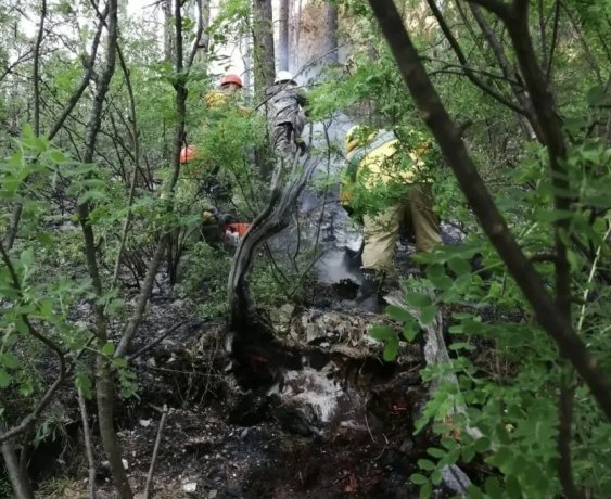 Фото: Прокуратура Красноярского края