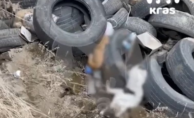 Фото: Стопкадр видео Kras Mash