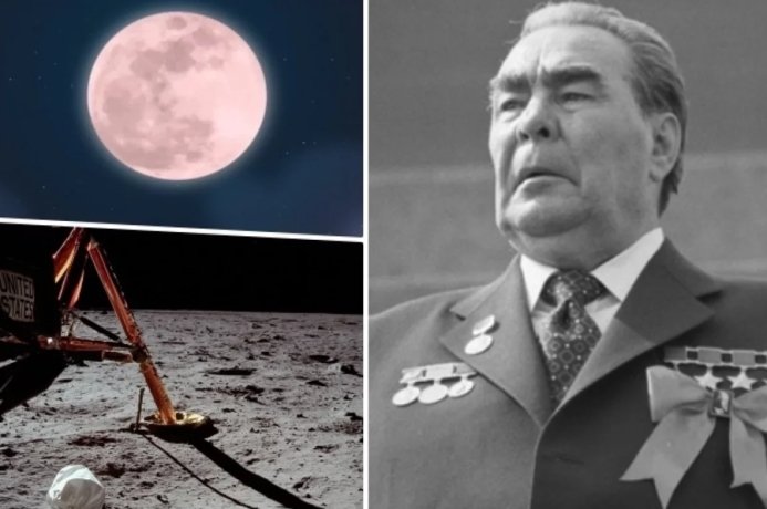 Фото: Коллаж АиФ