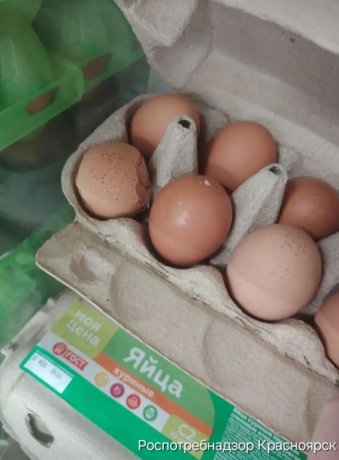 Фото: Управление Роспотребнадзора по Красноярскому краю