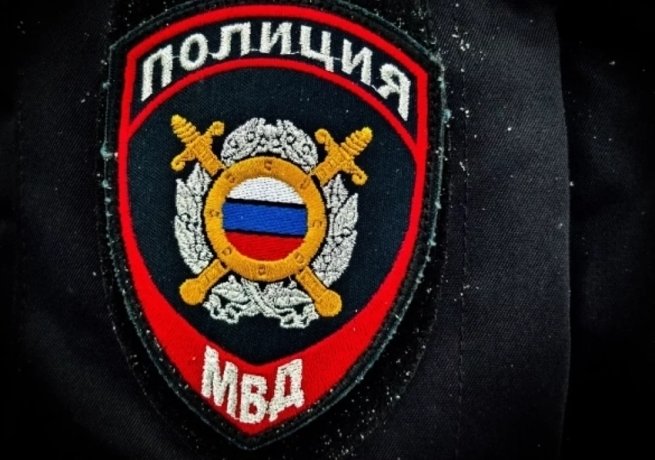 Фото: Дмитрий Еланаков / АиФ