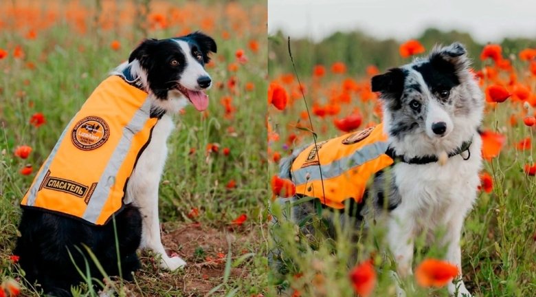 Фото: Обложка © VK / Юлия Иванова