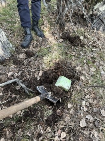 Фото: МВД по Красноярскому краю