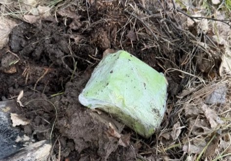 Фото: МВД по Красноярскому краю