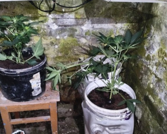 Фото: МВД по Хакасии