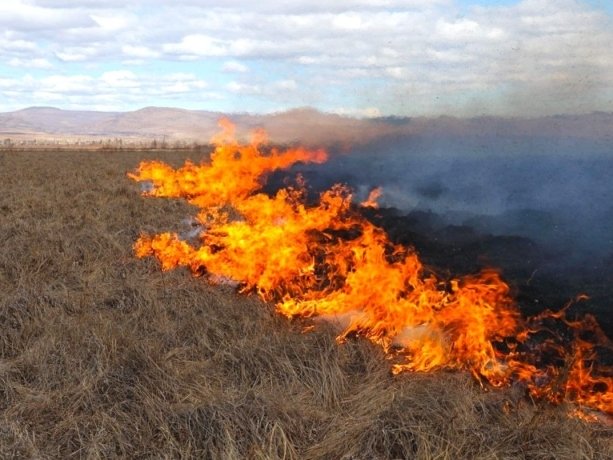 Фото; Евгений Молодняков 