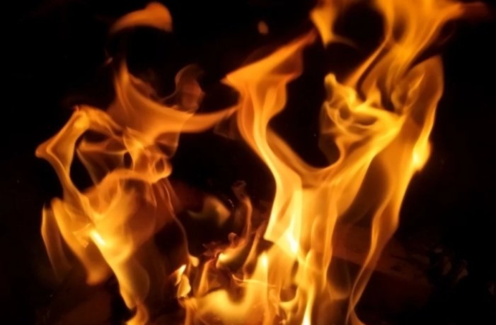 Фото: Maksim Konstantinov / www.globallookpress.com