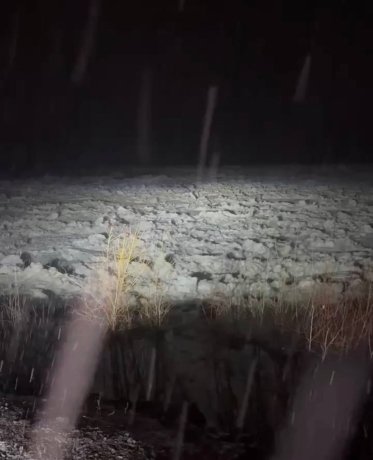 Фото: Валентина Филимонова 