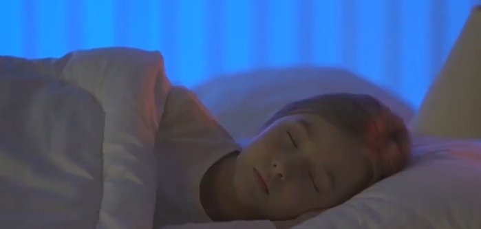 Фото: Стопкадр эфира НТВ