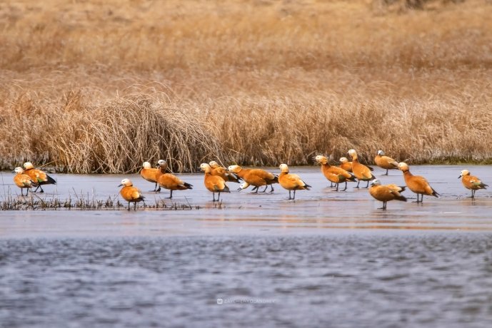 Фото: Андрей Зайченко