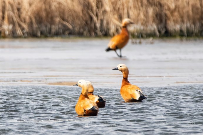 Фото: Андрей Зайченко