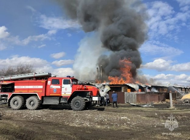 Фото: МЧС России по Хакасии