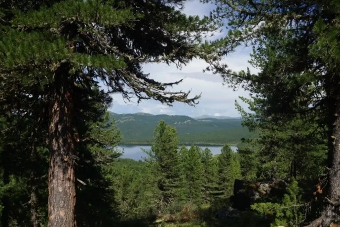 Фото: Минприроды Хакасии