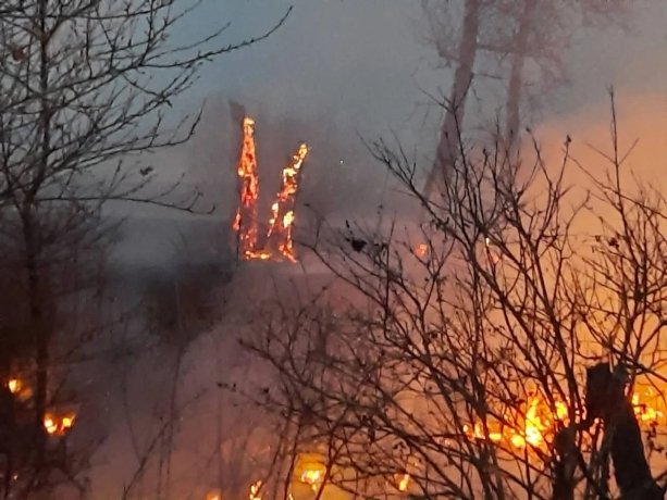 Фото: Елена Егорова 