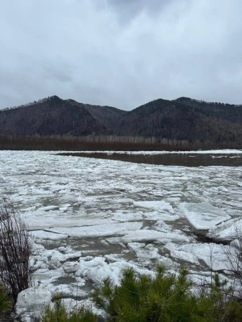 Фото: Валентина Филимонова 