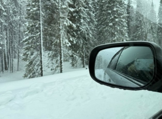 Фото: Светлана Бурлакова / «ВКонтакте»