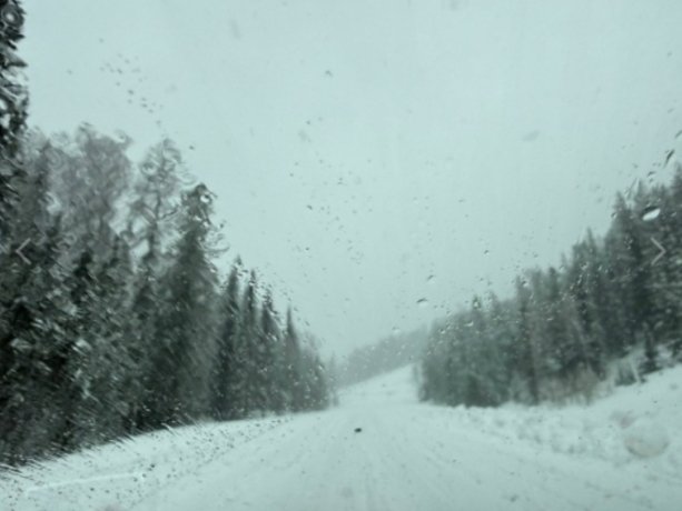 Фото: Фото: Светлана Бурлакова / «ВКонтакте»