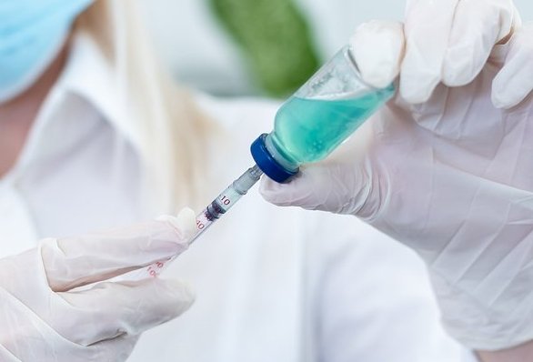 Фото: Sun Shock / Shutterstock / Fotodom