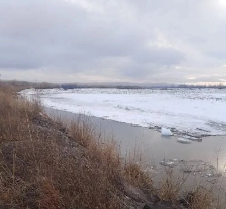 Фото: Администрация Алтайского района