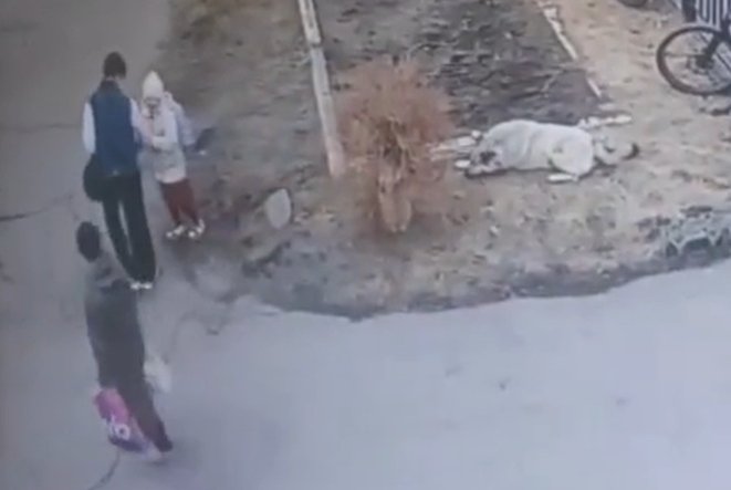 Стоп-кадр видео Nota Bene