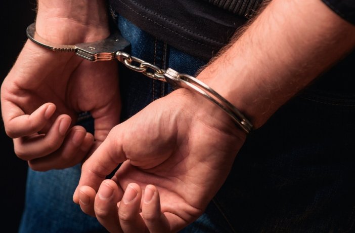 Фото: Olena Yakobchuk/Shutterstock/FOTODOM