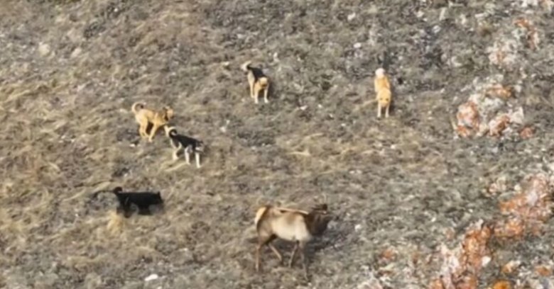 Фото: Сергей Филинин