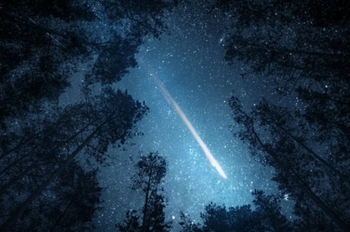 Фото: istockphoto.com