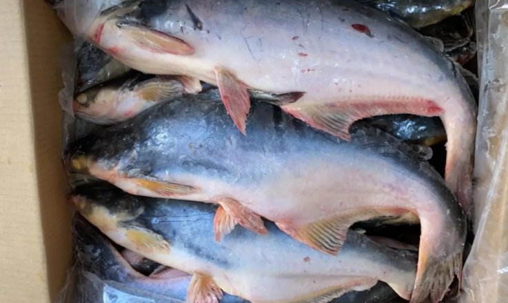 Фото: Россельхознадзор по Хакасии и Тыве